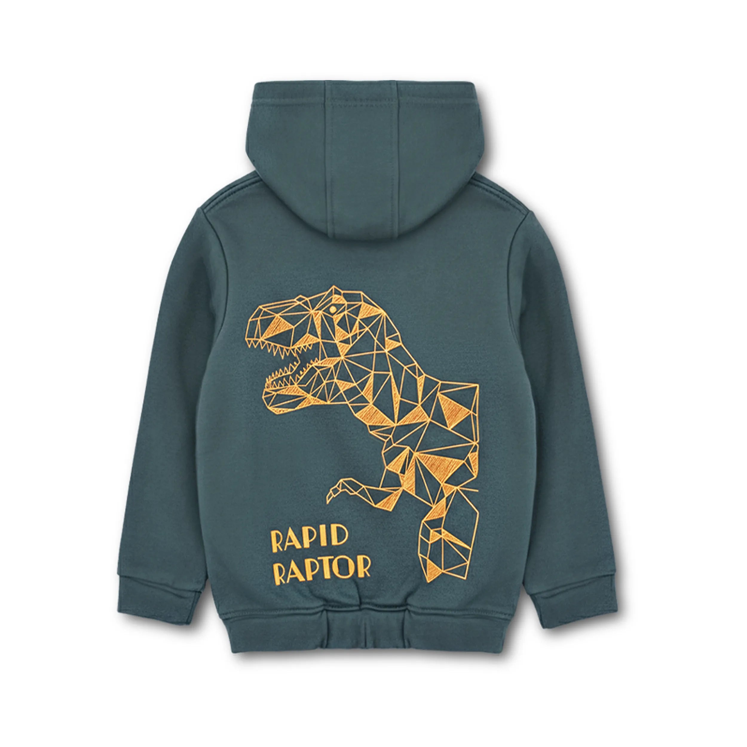 Kids Fleece Hoodie & Trousers Set (Rapid Raptor)