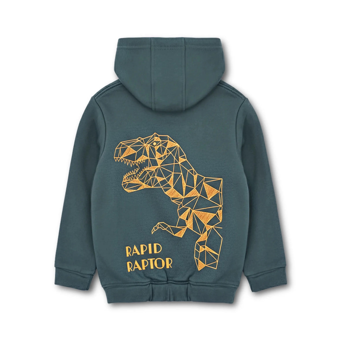 Kids Fleece Hoodie & Trousers Set (Rapid Raptor)