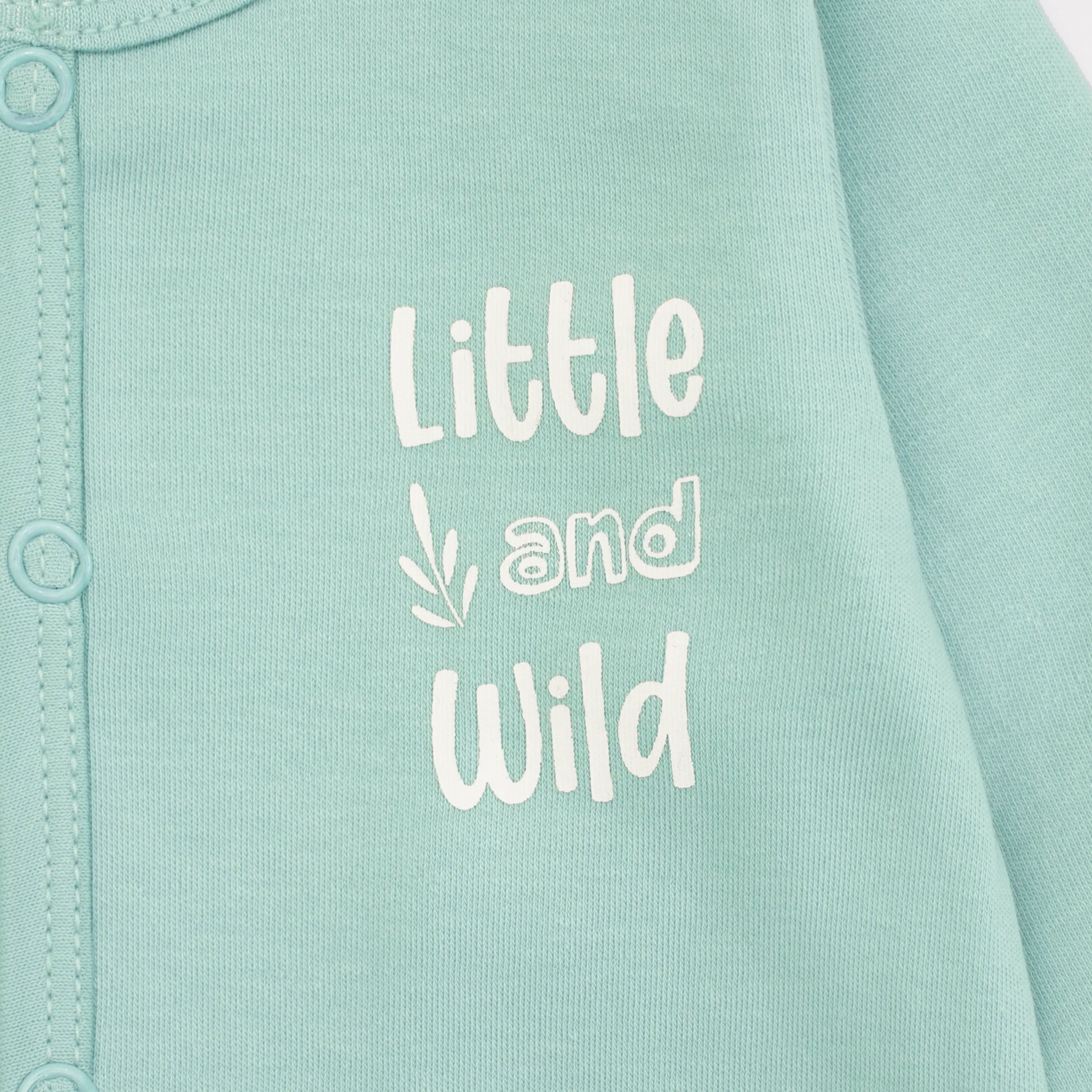 Newborn Set of 6 (Koala)